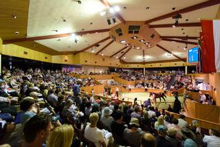 A fully packed auditorium at the opening session of Karaka 2019.